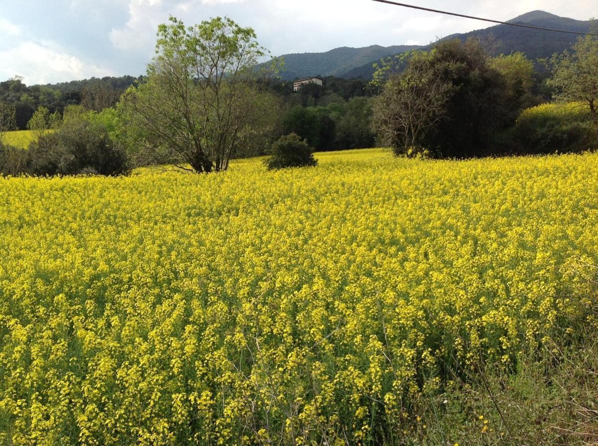 Casa Rural Can Panxa Sant Pere de Vilamajor Eksteriør billede