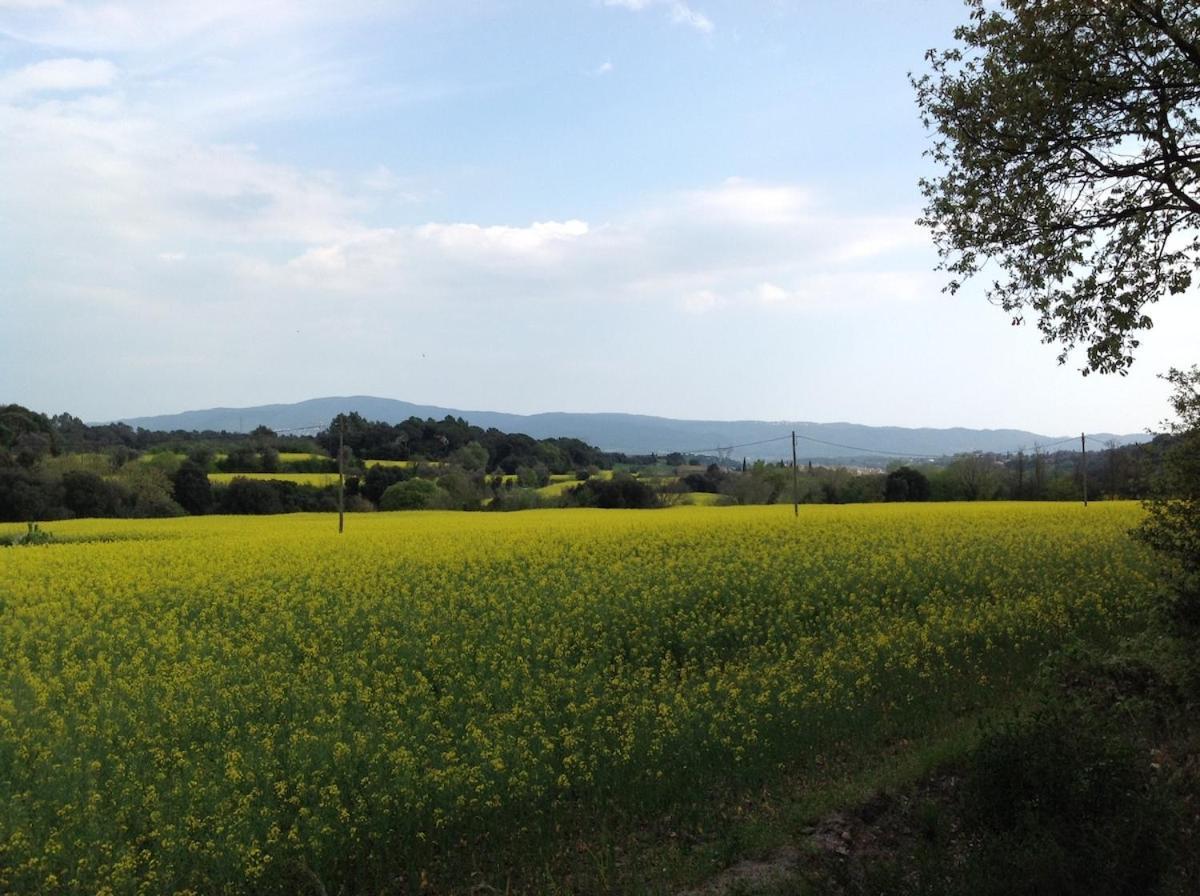 Casa Rural Can Panxa Sant Pere de Vilamajor Eksteriør billede