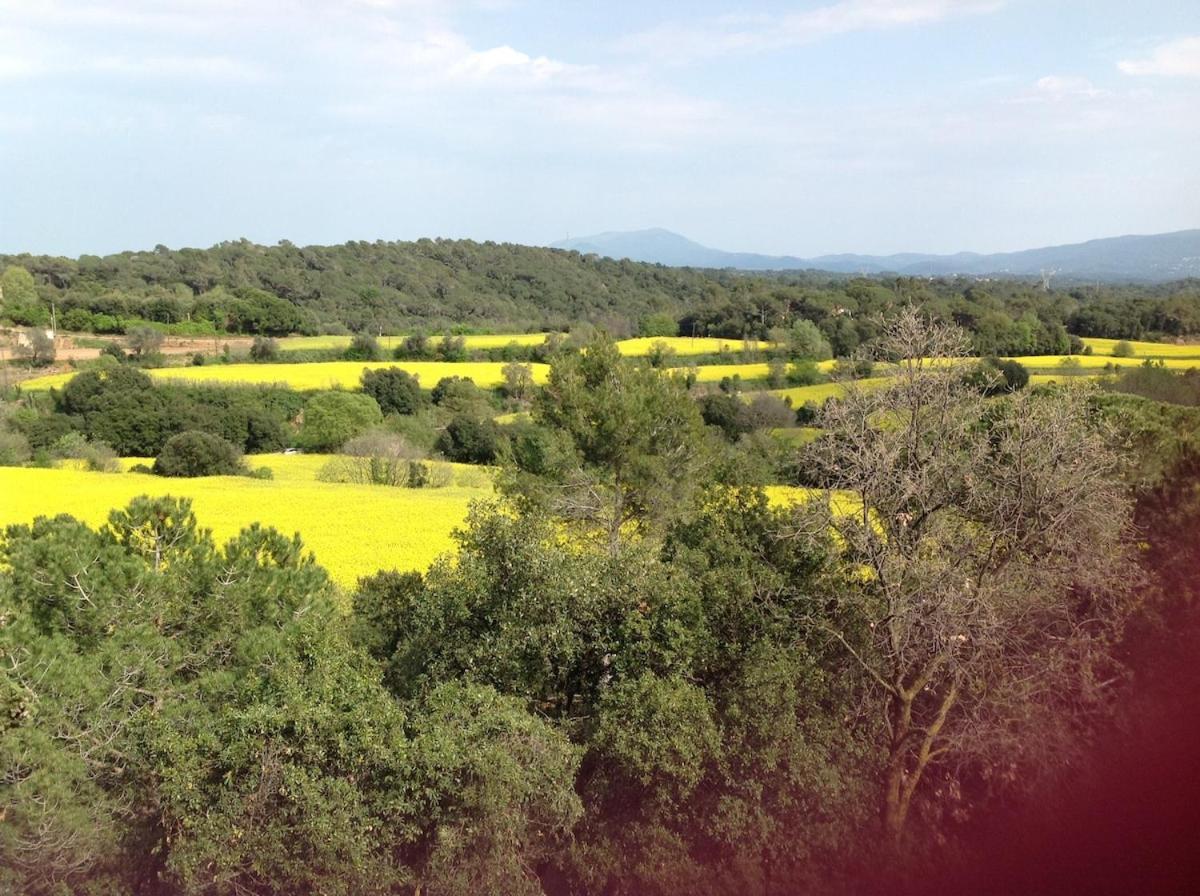 Casa Rural Can Panxa Sant Pere de Vilamajor Eksteriør billede